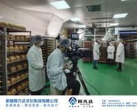 新疆乌鲁木齐企业宣传片之拍摄对比度处理技巧